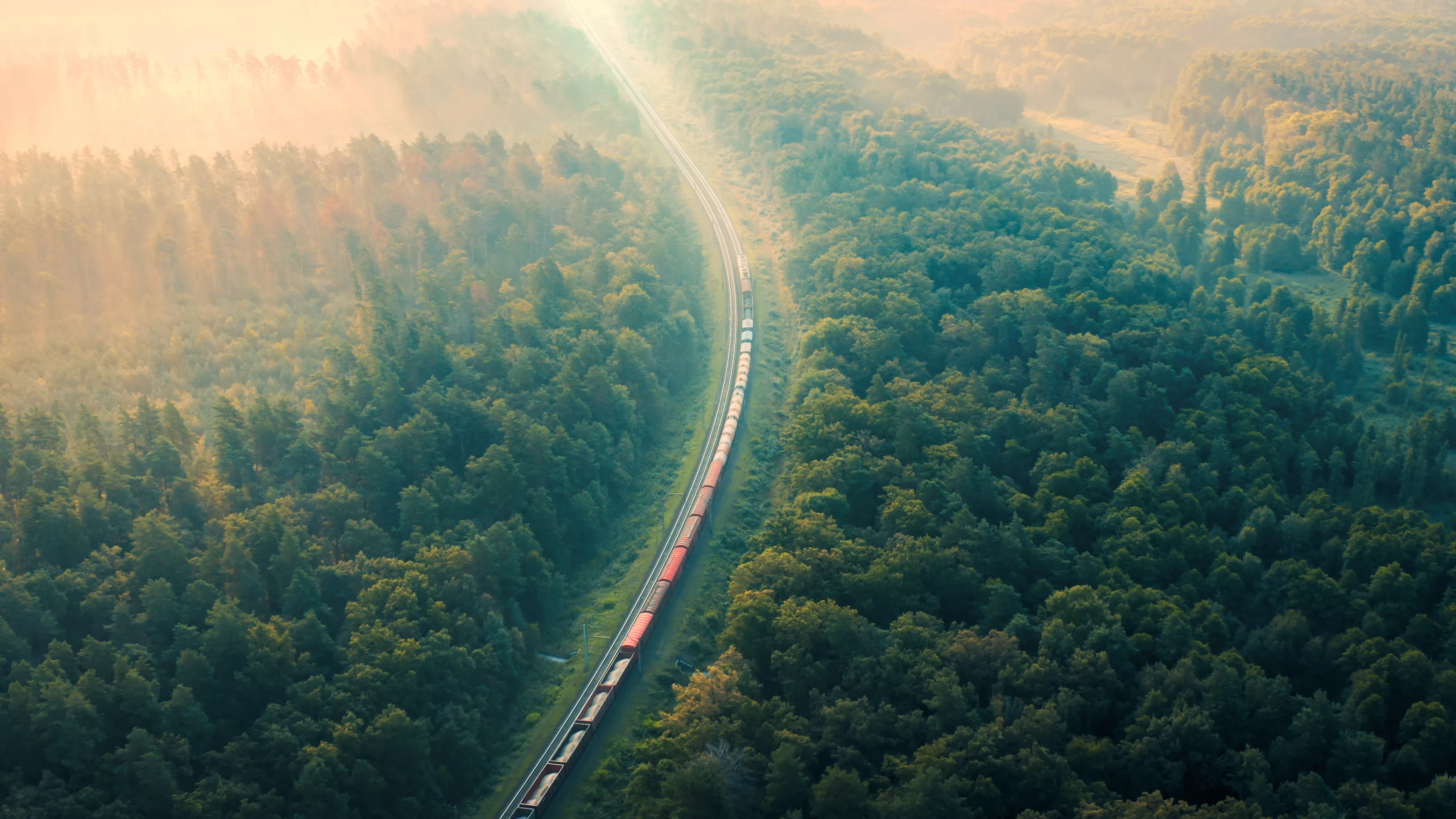 Aerial view of a long freight train winding through a misty forested landscape at golden hour — multi-car consist of intermodal containers cutting a diagonal path through deep green forest. The long-haul image of a strategic logistics partnership: freight that compounds over time across an ongoing accountable relationship.